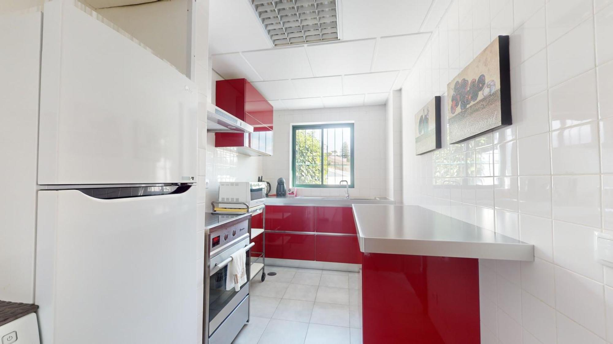 Azores Pedra Apartments - T0 E T1 ポンタ・デルガダ エクステリア 写真