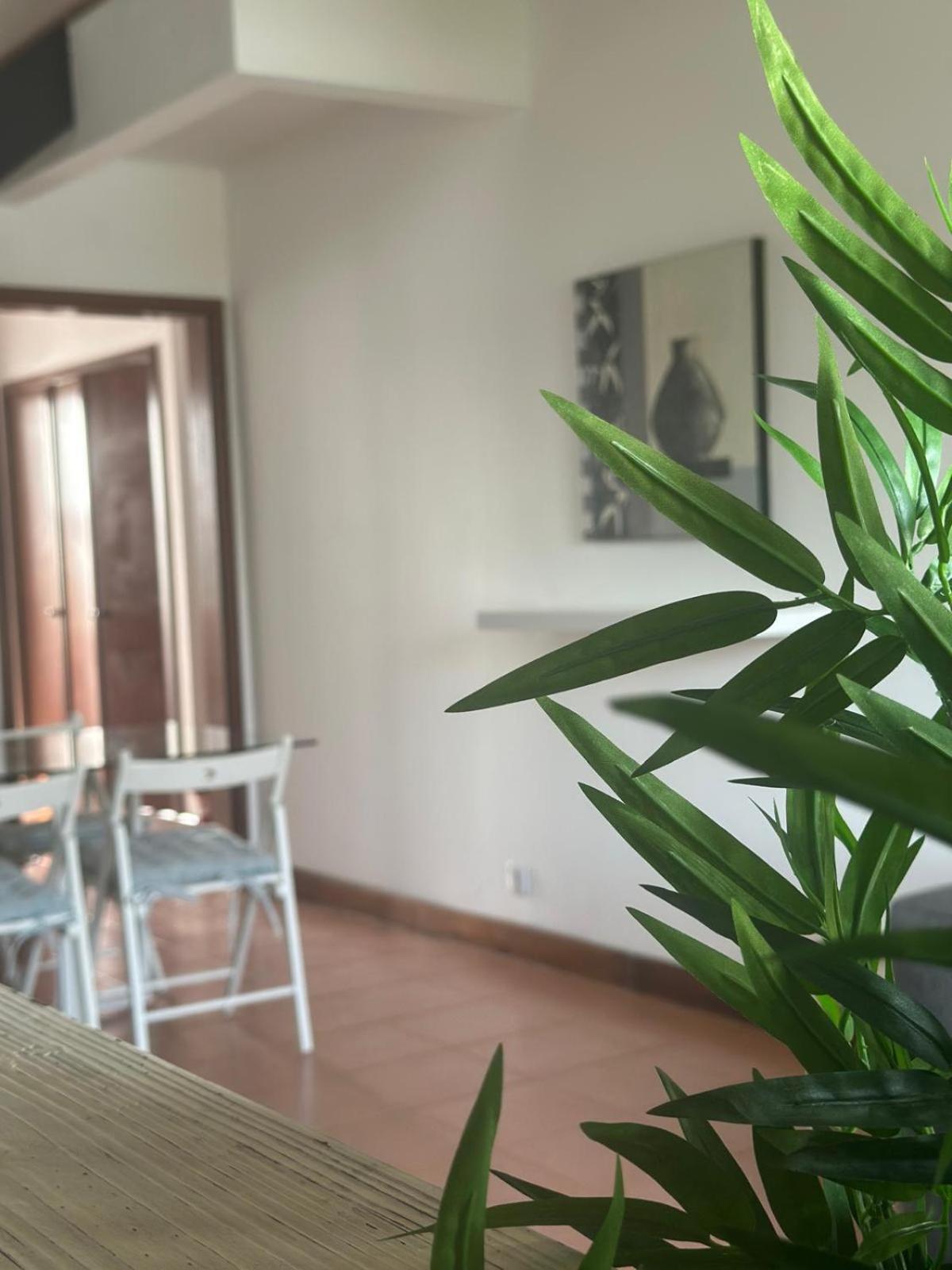 Azores Pedra Apartments - T0 E T1 ポンタ・デルガダ エクステリア 写真