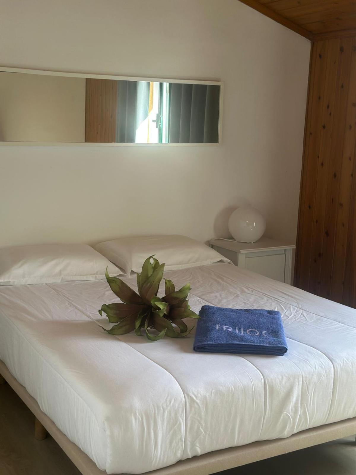 Azores Pedra Apartments - T0 E T1 ポンタ・デルガダ エクステリア 写真